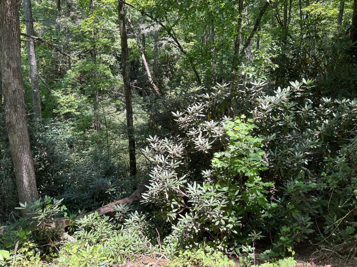 Tallulah Gorge Retreat Lakemont Exterior foto